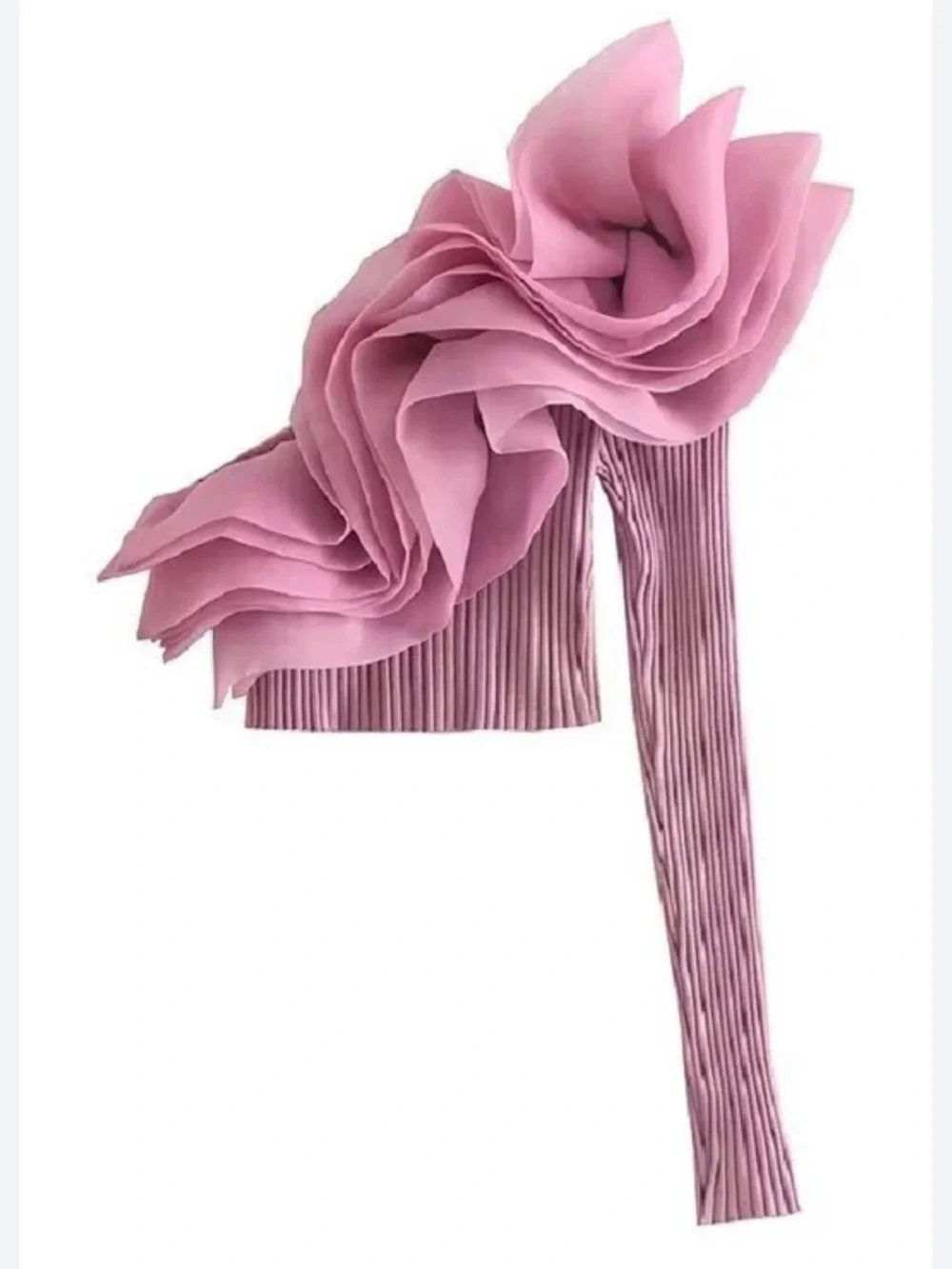 Zara Organza Top